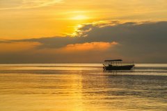 岳麓區(qū)建站服務內容是什么？